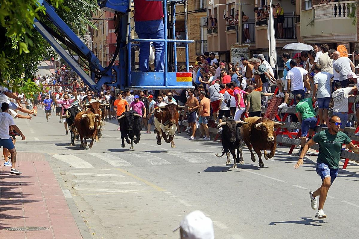 Varios hombres corren delante de los toros en el encierro de este jueves.