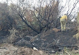 Zona calcinada por el incendio.