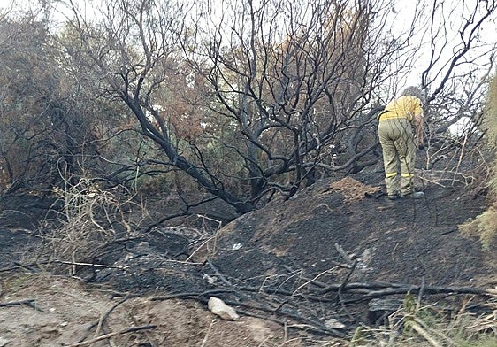 Zona calcinada por el incendio.
