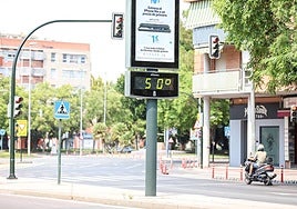 En imágenes, Murcia sufre la alerta roja por calor y el pabellón Cagigal se habilita como refugio climático