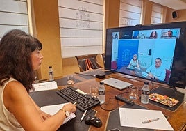 La ministra de Igualdad en la videoconferencia con Mariola Guevara.