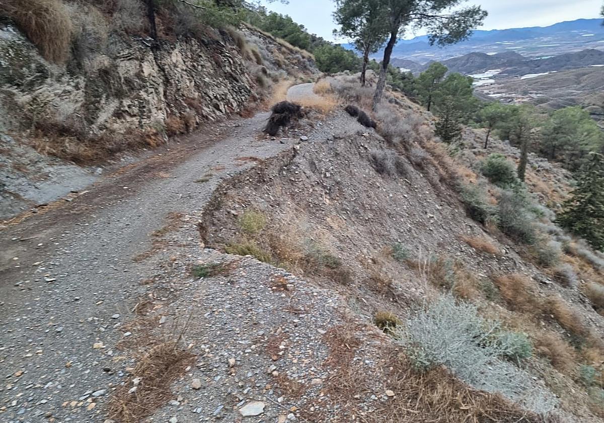 Desprendimientos en el camino Picarios Tercia, en Totana.