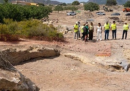 Trabajos en la Finca Medina de Cartagena.