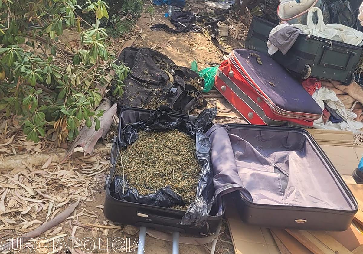 La maleta, con la droga que contenía.