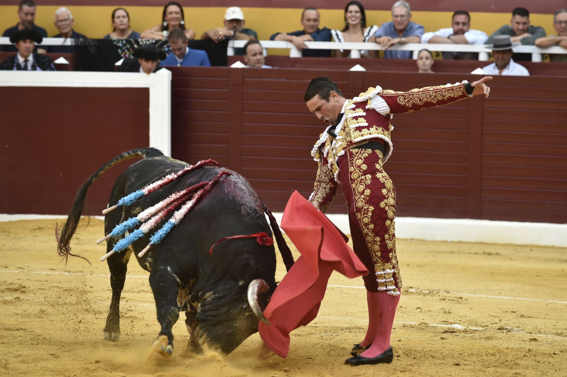 La corrida de toros en Cieza de Manzanares, Aguado y Pérez, en imágenes