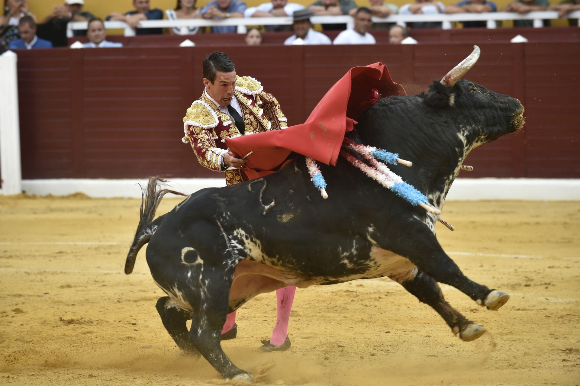 La corrida de toros en Cieza de Manzanares, Aguado y Pérez, en imágenes