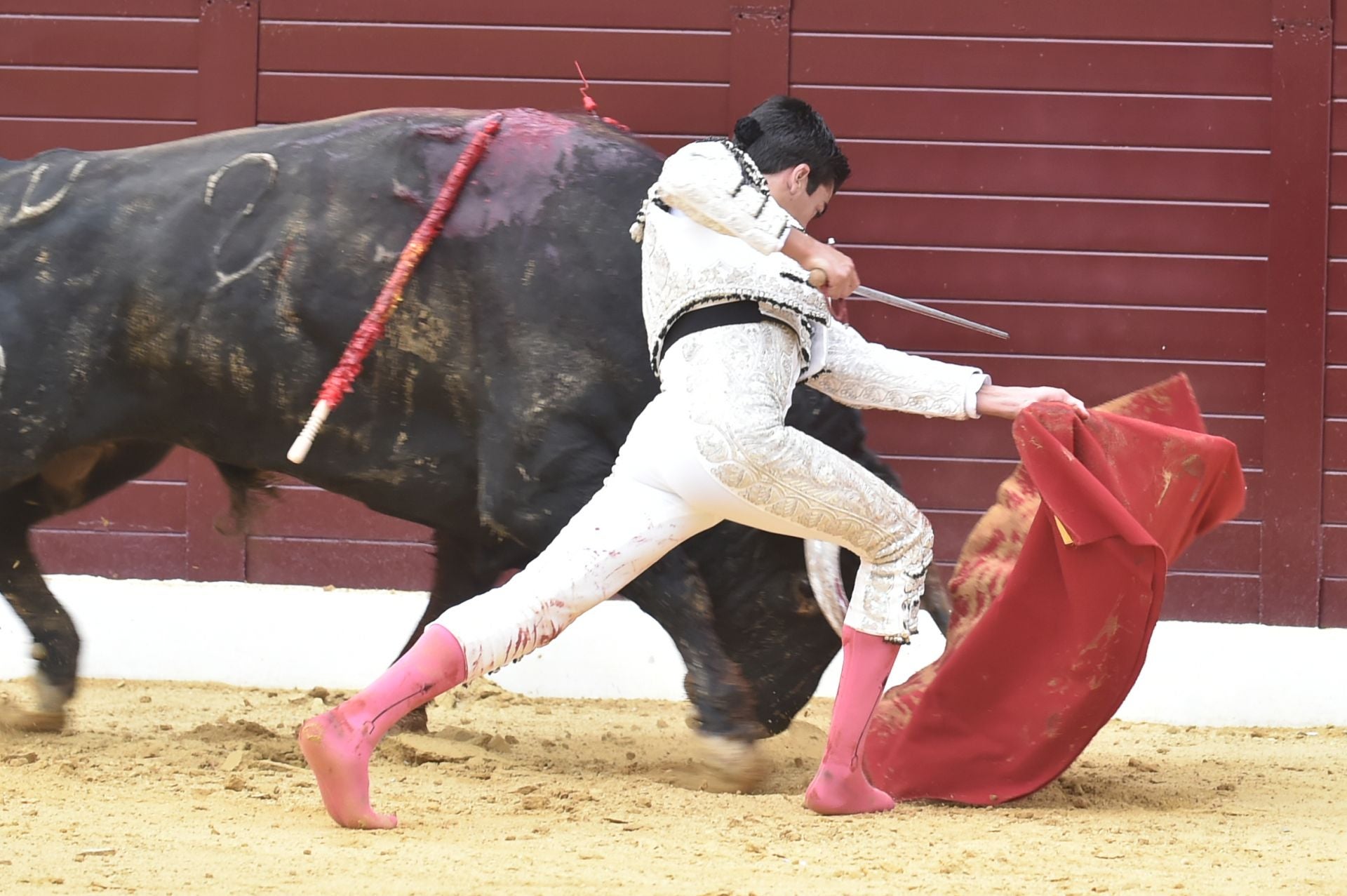 La corrida de toros en Cieza de Manzanares, Aguado y Pérez, en imágenes