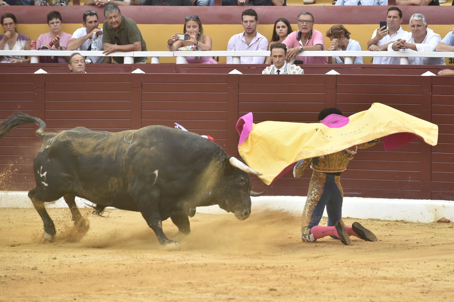 La corrida de Castella, Perera y Jiménez en Cieza, en imágenes