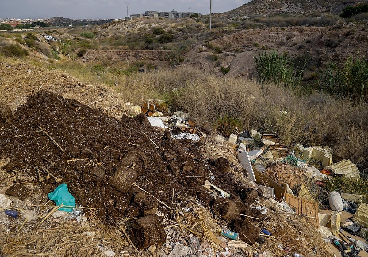Restos de abono procedentes de plantaciones de marihuana junto al cauce del barranco del Feo y el hospital Santa Lucía, al fondo.