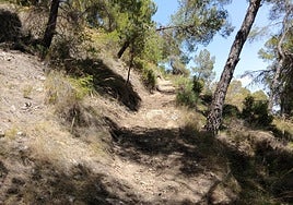Sendero del Estepar, en el Parque Regional de Sierra Espuña.