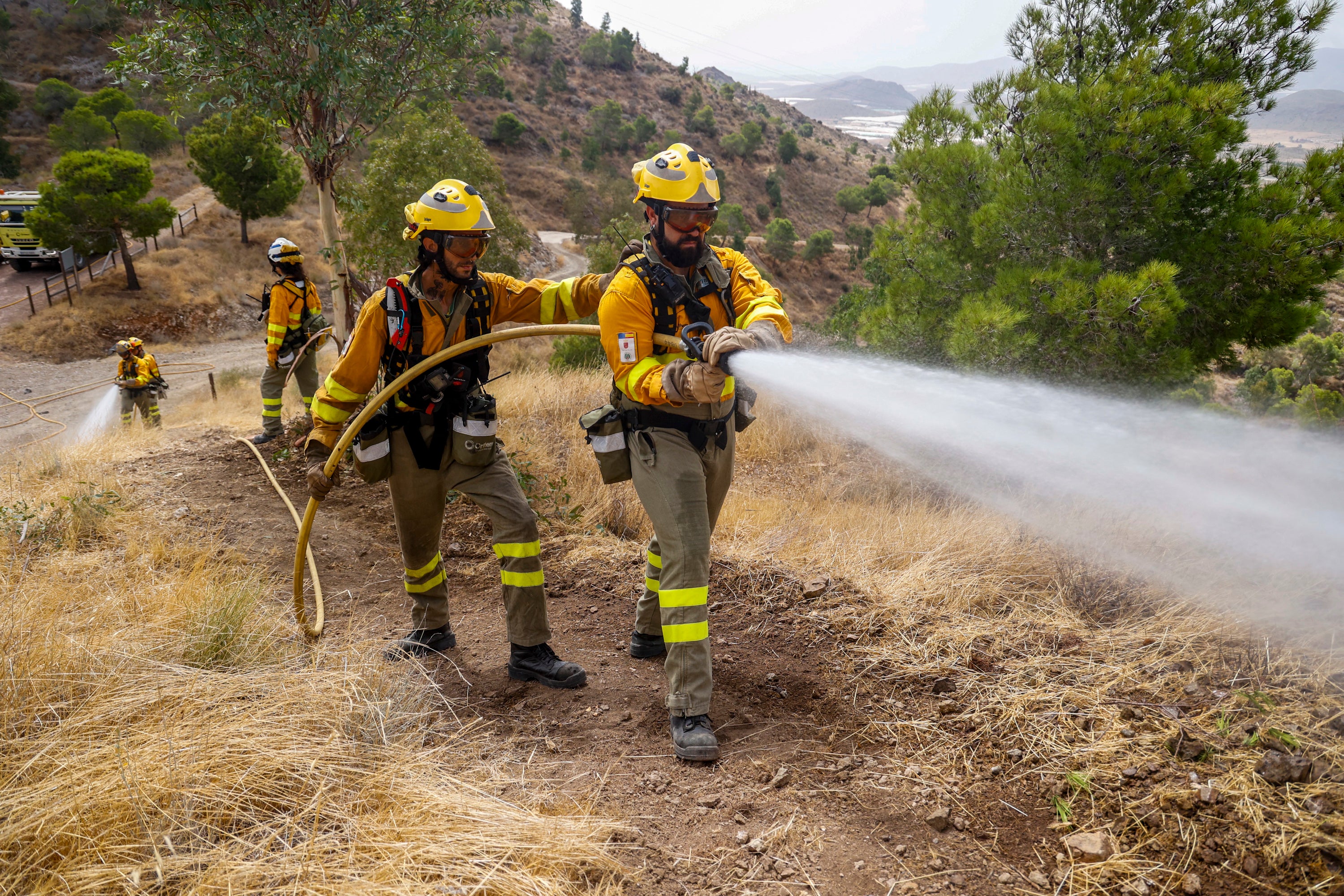 Las imágenes del simulacro de los bomberos forestales de la brigada terrestre de Mazarrón