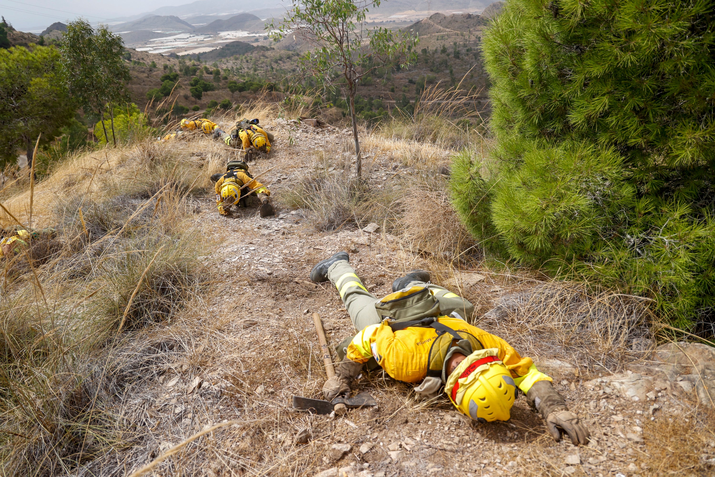 Las imágenes del simulacro de los bomberos forestales de la brigada terrestre de Mazarrón