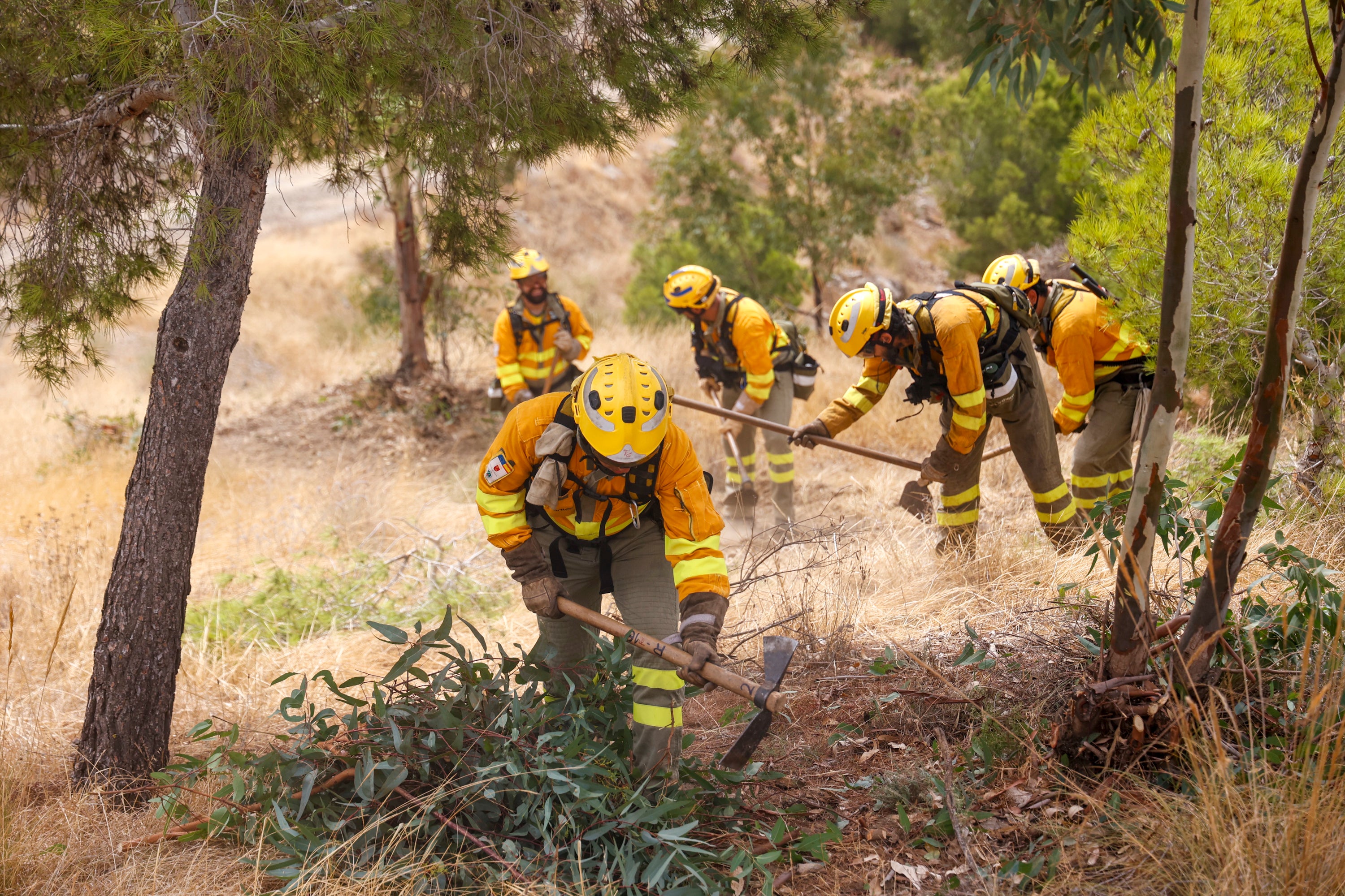 Las imágenes del simulacro de los bomberos forestales de la brigada terrestre de Mazarrón
