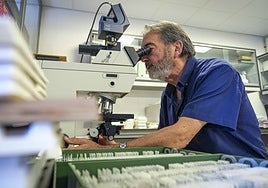 Salvador Martínez, en el Instituto de Neurociencias de Alicante.