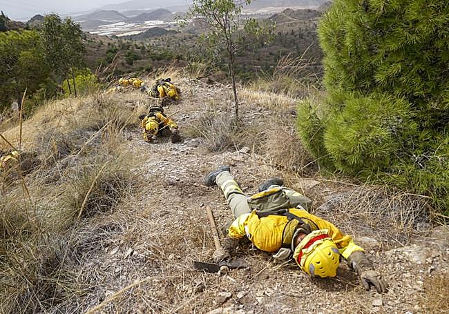 Efectivos de la brigada, durante el simulacro de esta semana.