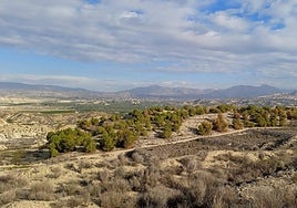 El Gobierno regional impulsa la protección de hábitats singulares en Abanilla con la restauración ambiental en Contiendas y Lomas del Algezar