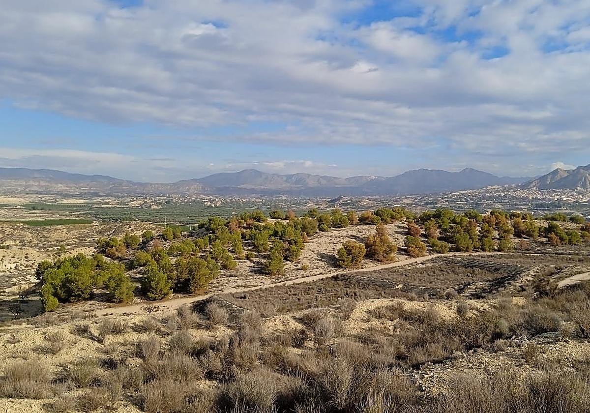 El Gobierno regional impulsa la protección de hábitats singulares en Abanilla con la restauración ambiental en Contiendas y Lomas del Algezar