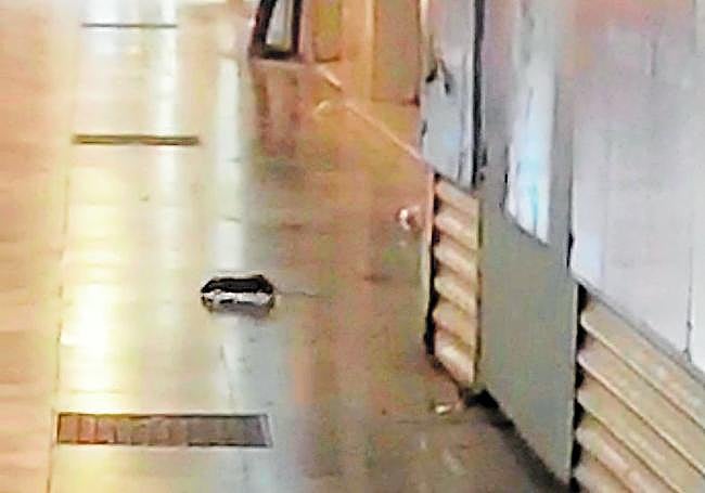 Una rata atraviesa la calle Mayor en una imagen de este verano.