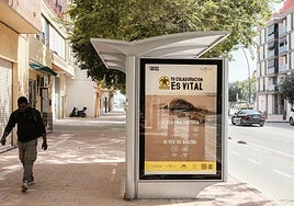 Cartelería de la campaña de concienciación sobre la tortuga marina en Lorca.