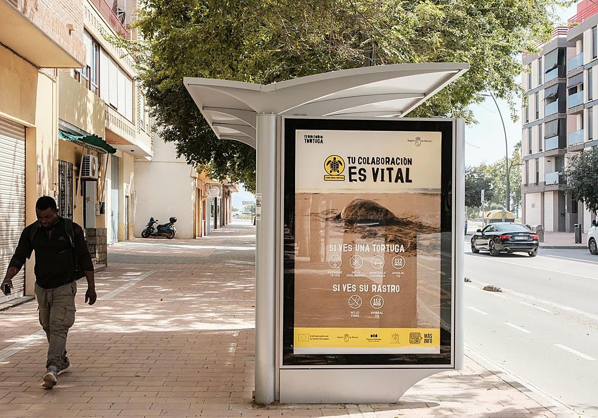 Cartelería de la campaña de concienciación sobre la tortuga marina en Lorca.