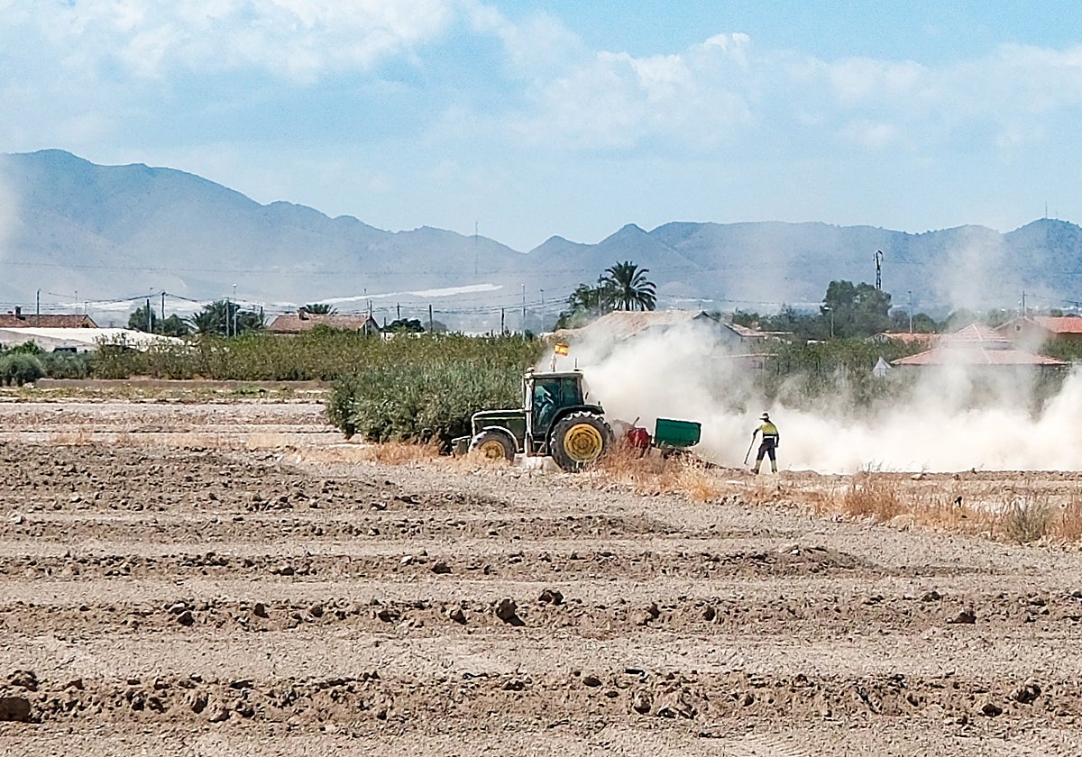 Zona próxima al Camino de Feli en la pedanía de Purias incluida en el nuevo mapa de riesgo de inundación.