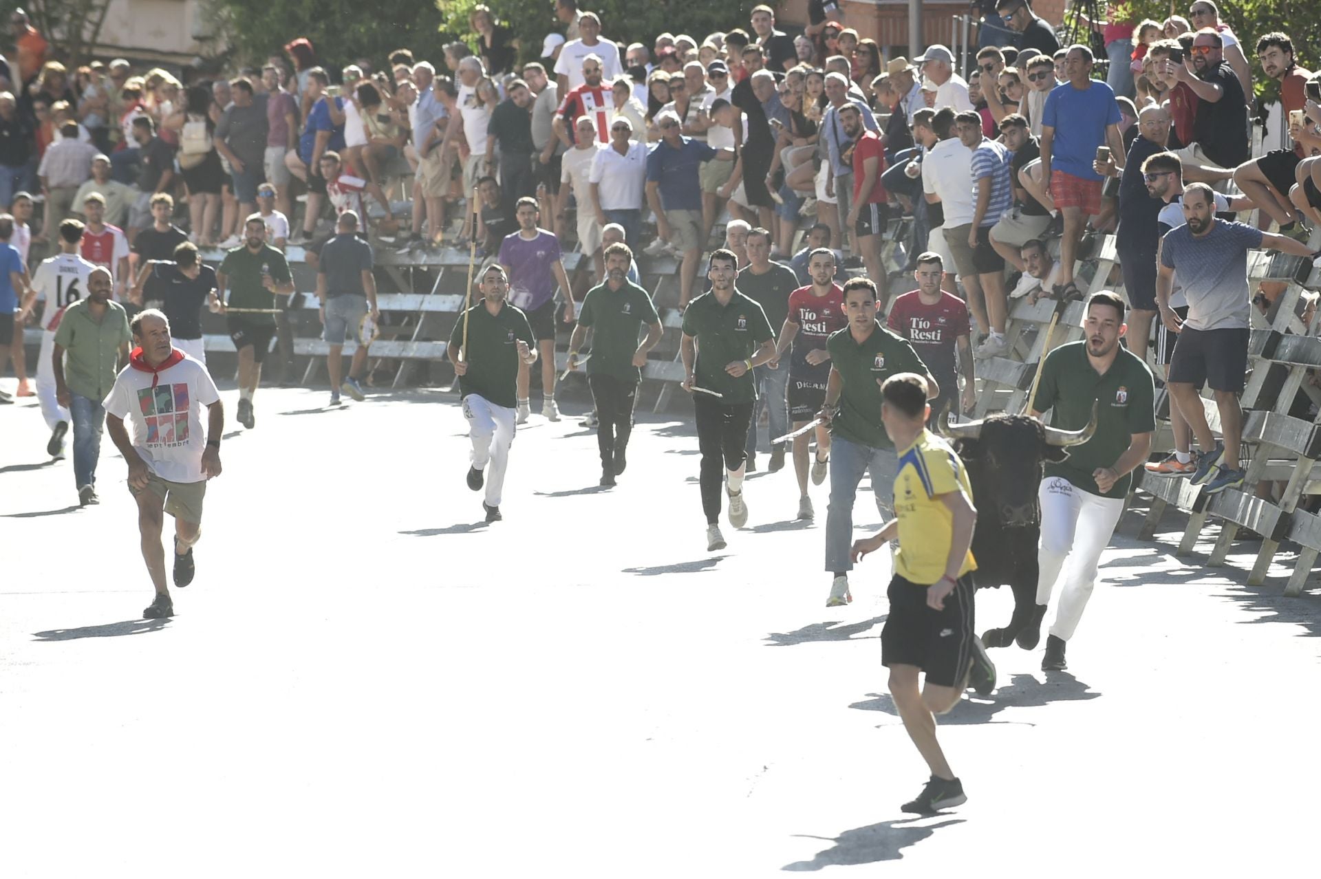 La ganadería El Pincha abre los encierros de Calasparra