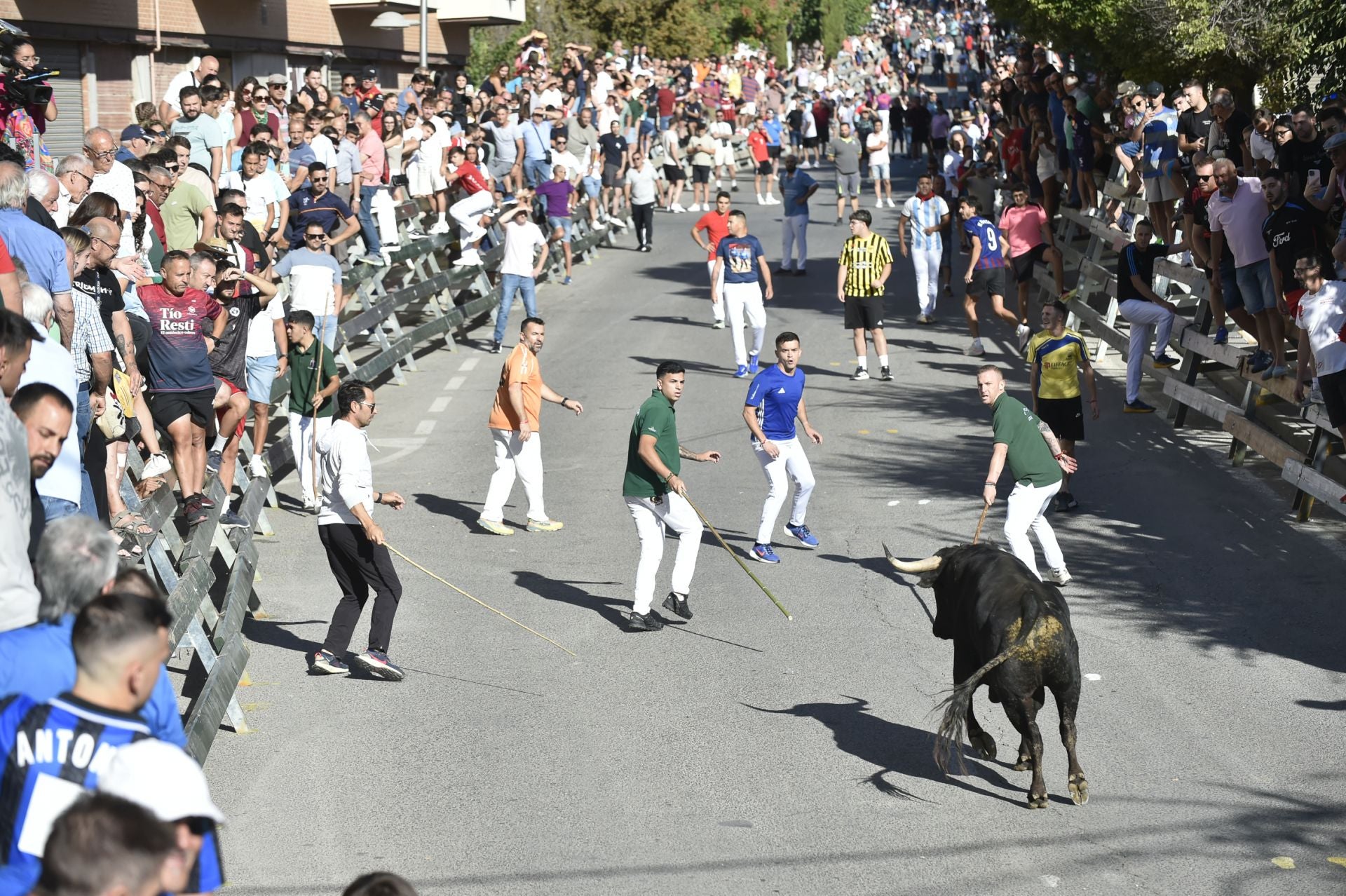 La ganadería El Pincha abre los encierros de Calasparra