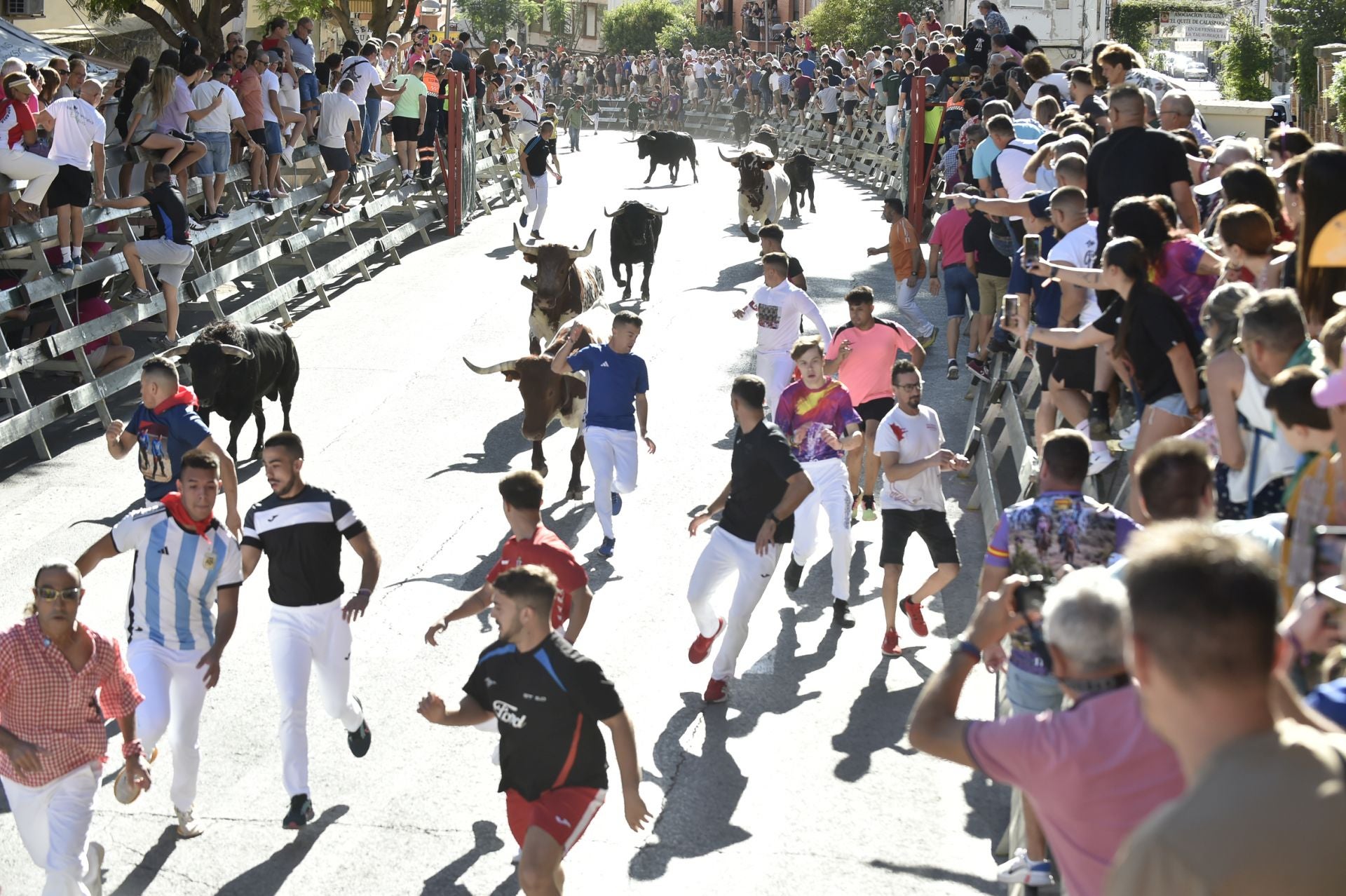 La ganadería El Pincha abre los encierros de Calasparra