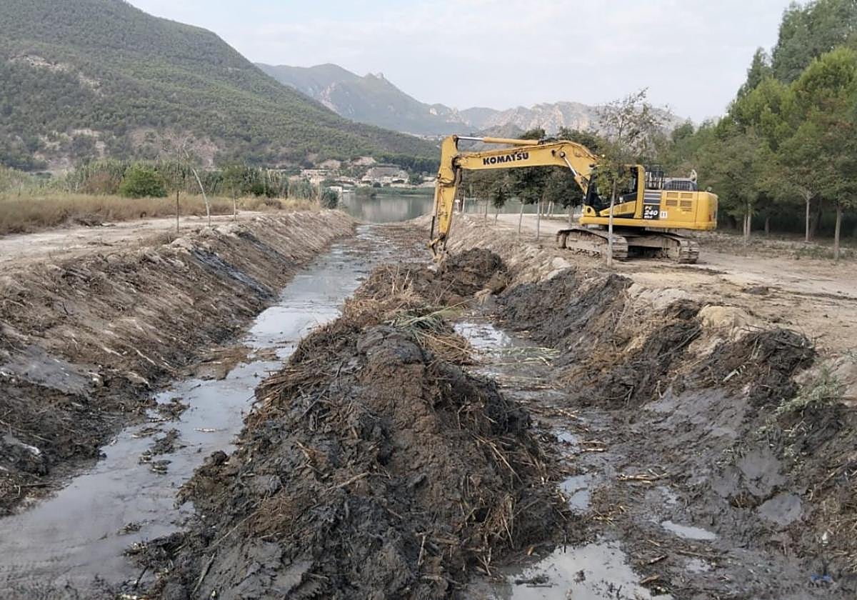 Labores de mantenimiento en el dominio hidráulico del Segura.