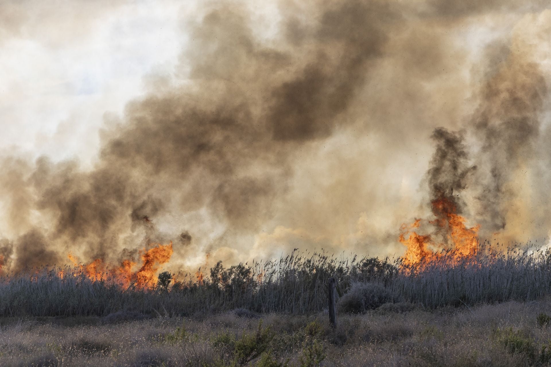 El incendio forestal del Carmolí, en imágenes