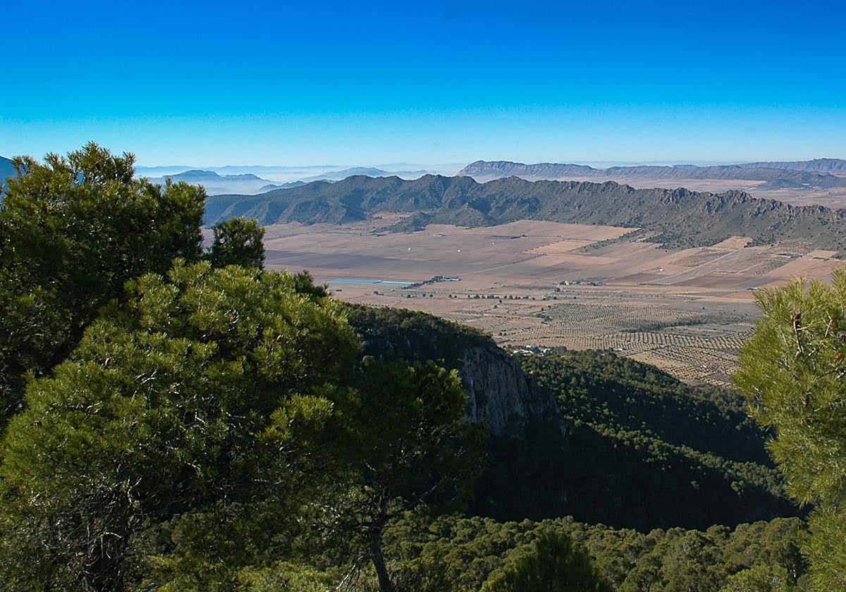 El Gobierno regional impulsa la restauración ecológica en la Sierra de Salinas para conservar hábitats prioritarios y especies autóctonas