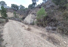 El Gobierno regional refuerza la vigilancia forestal y la prevención de incendios con un ambicioso proyecto en Lorca, Totana y Mazarrón