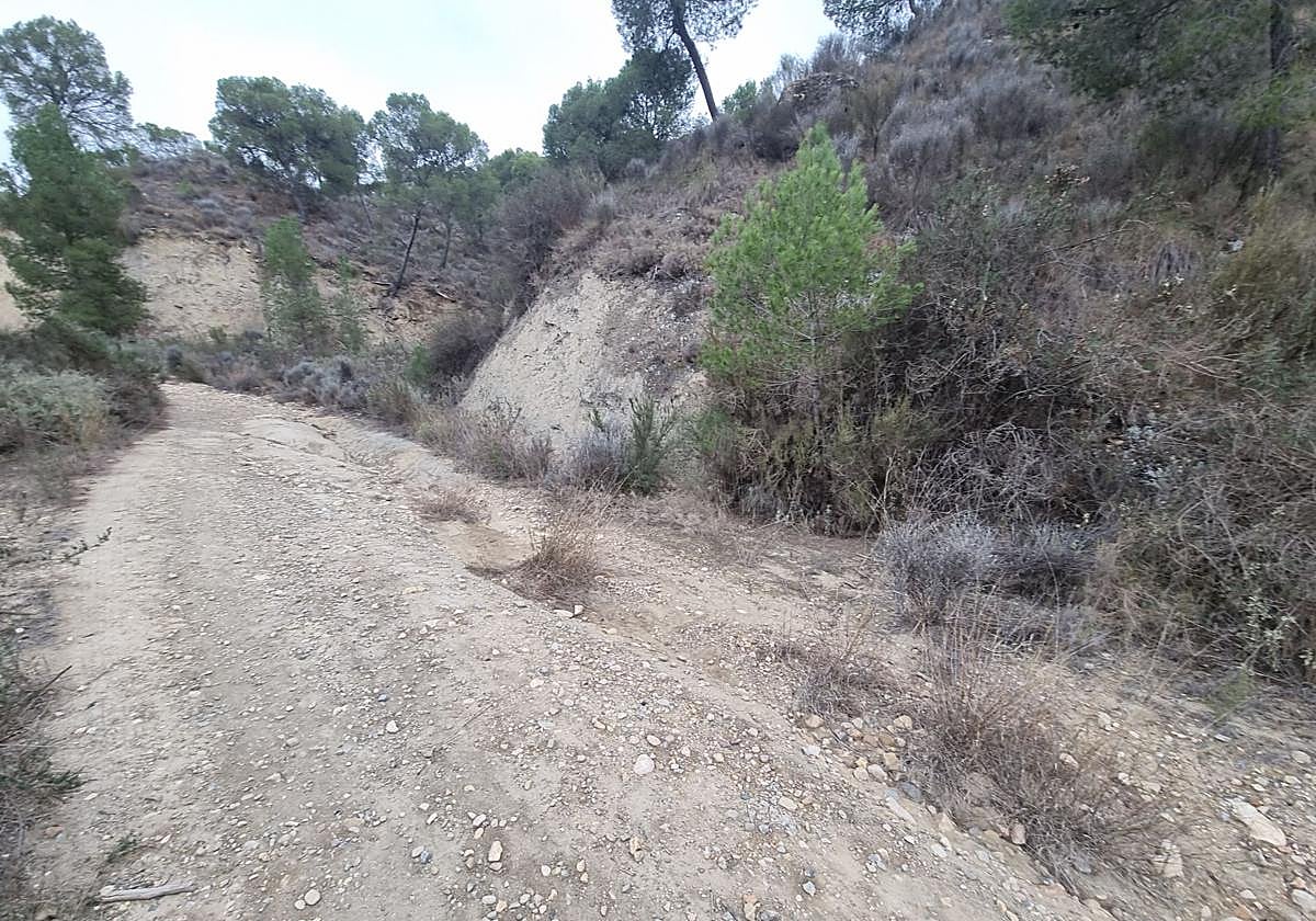 El Gobierno regional refuerza la vigilancia forestal y la prevención de incendios con un ambicioso proyecto en Lorca, Totana y Mazarrón