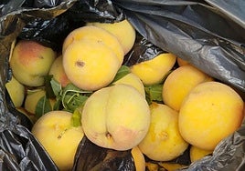 Melocotones encontrados por la Benemérita en el vehículo de los dos investigados