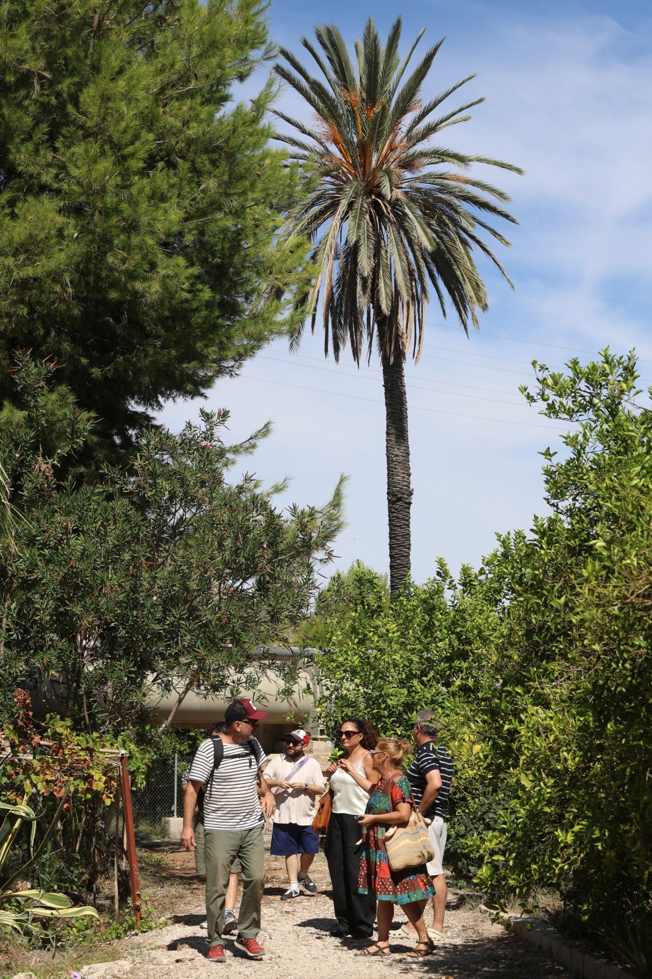 En imágenes, la jornada de este sábado del Festival Murmullo