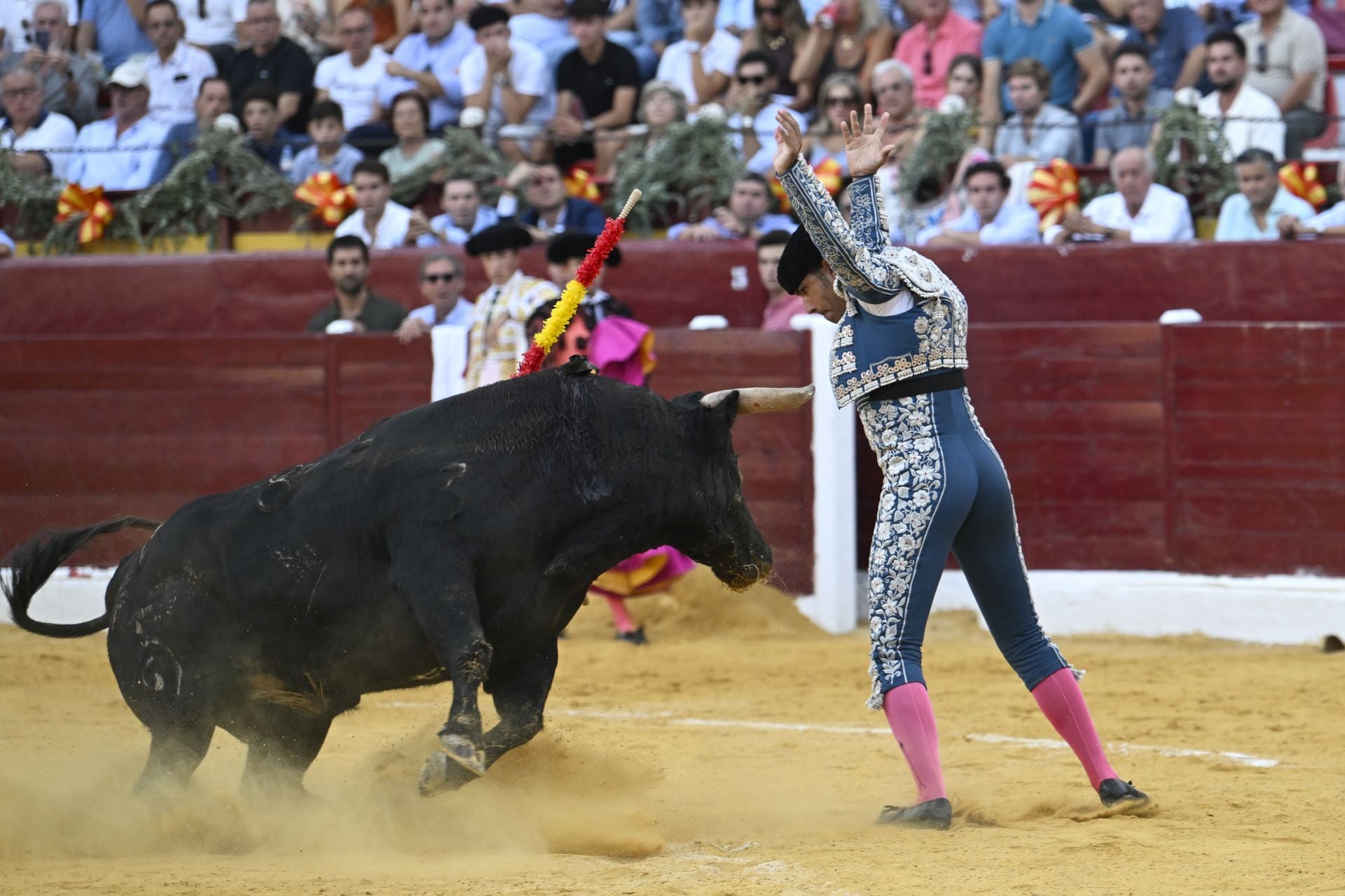 La primera novillada de la Feria Taurina de Murcia, en imágenes