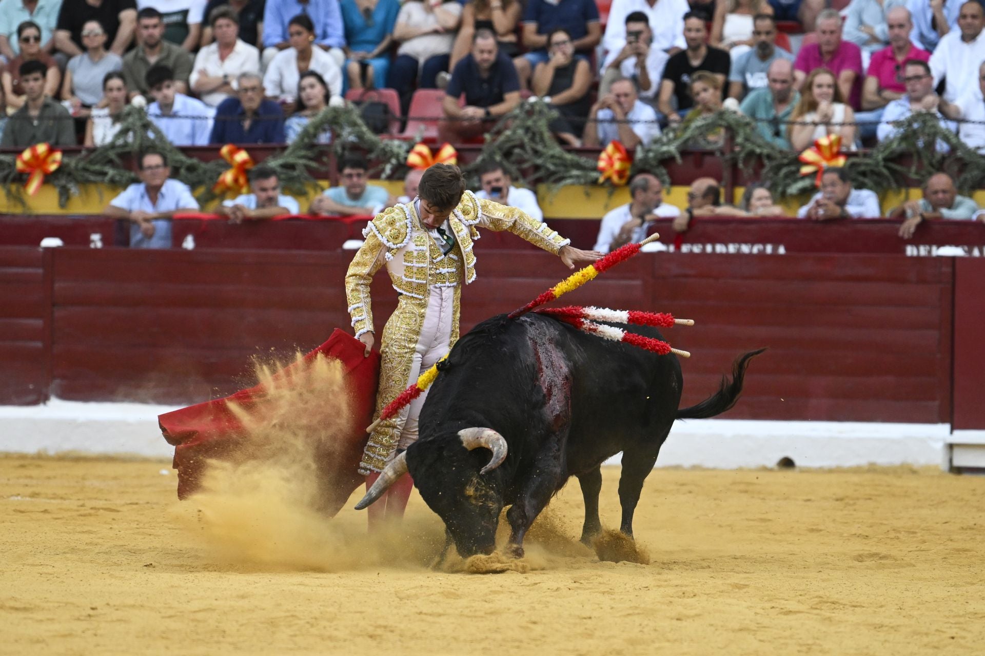 La primera novillada de la Feria Taurina de Murcia, en imágenes