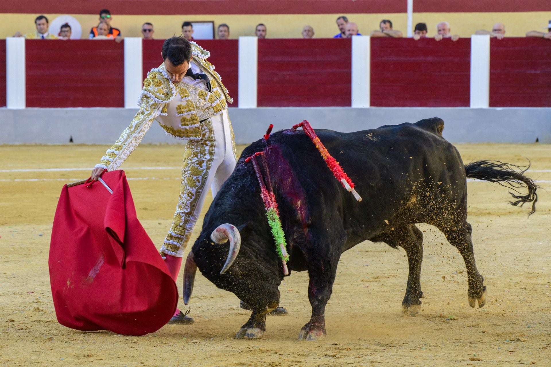 Las imágenes de la corrida de las Maravillas en Cehegín