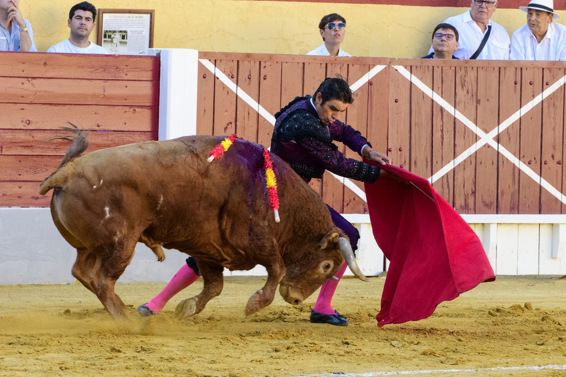 Las imágenes de la corrida de las Maravillas en Cehegín