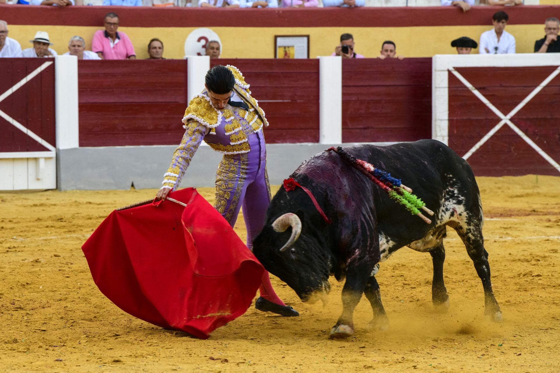 Las imágenes de la corrida de las Maravillas en Cehegín