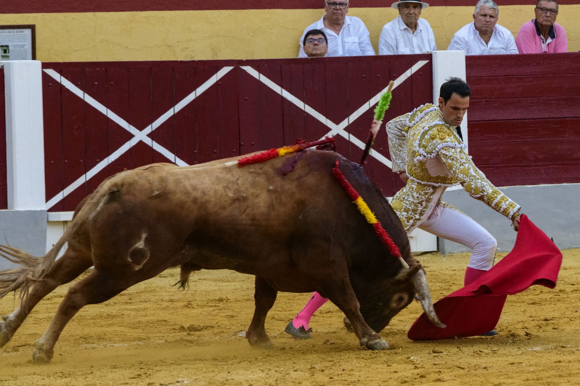 Las imágenes de la corrida de las Maravillas en Cehegín