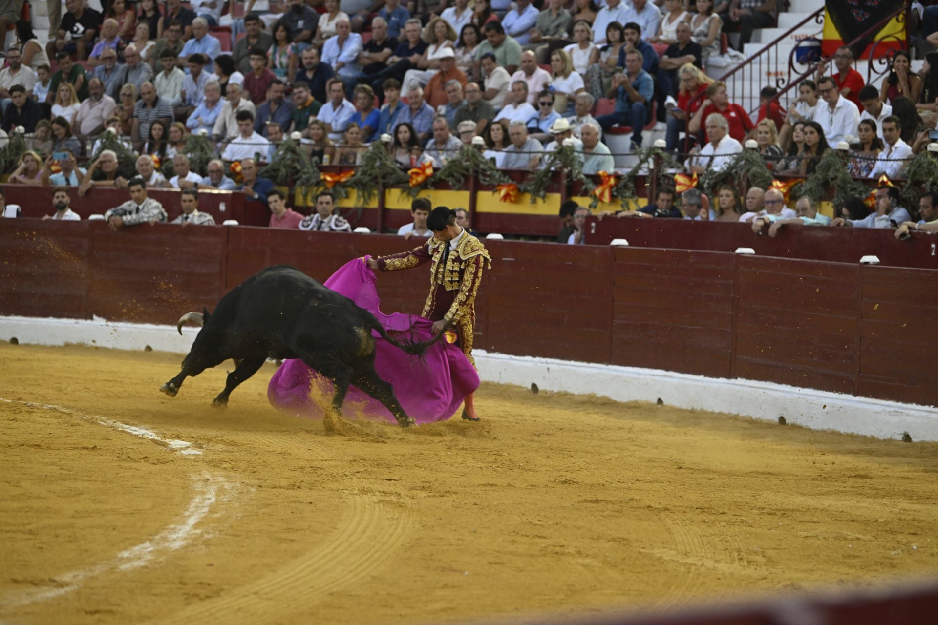 La primera novillada de la Feria Taurina de Murcia, en imágenes