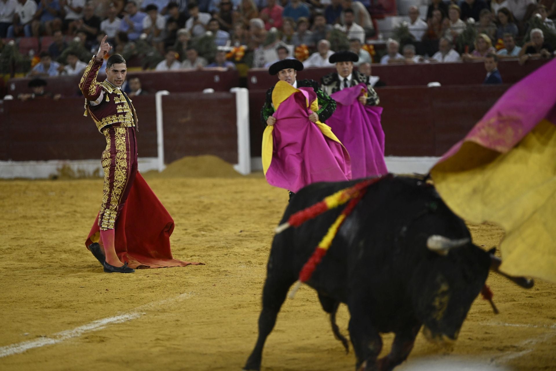 La primera novillada de la Feria Taurina de Murcia, en imágenes