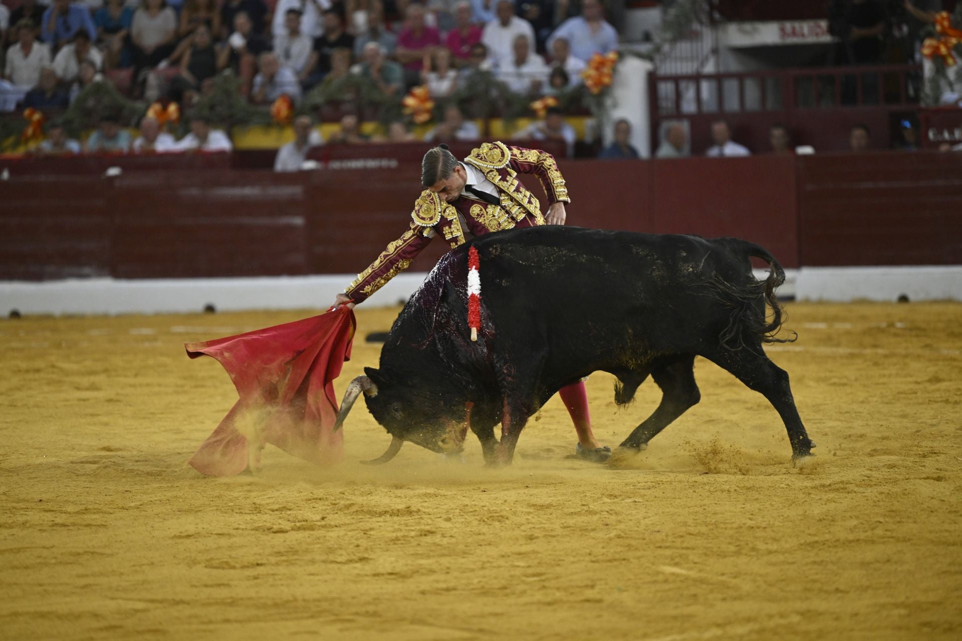 La primera novillada de la Feria Taurina de Murcia, en imágenes