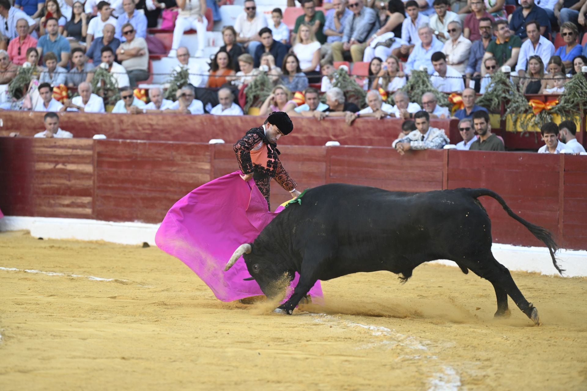 La primera novillada de la Feria Taurina de Murcia, en imágenes