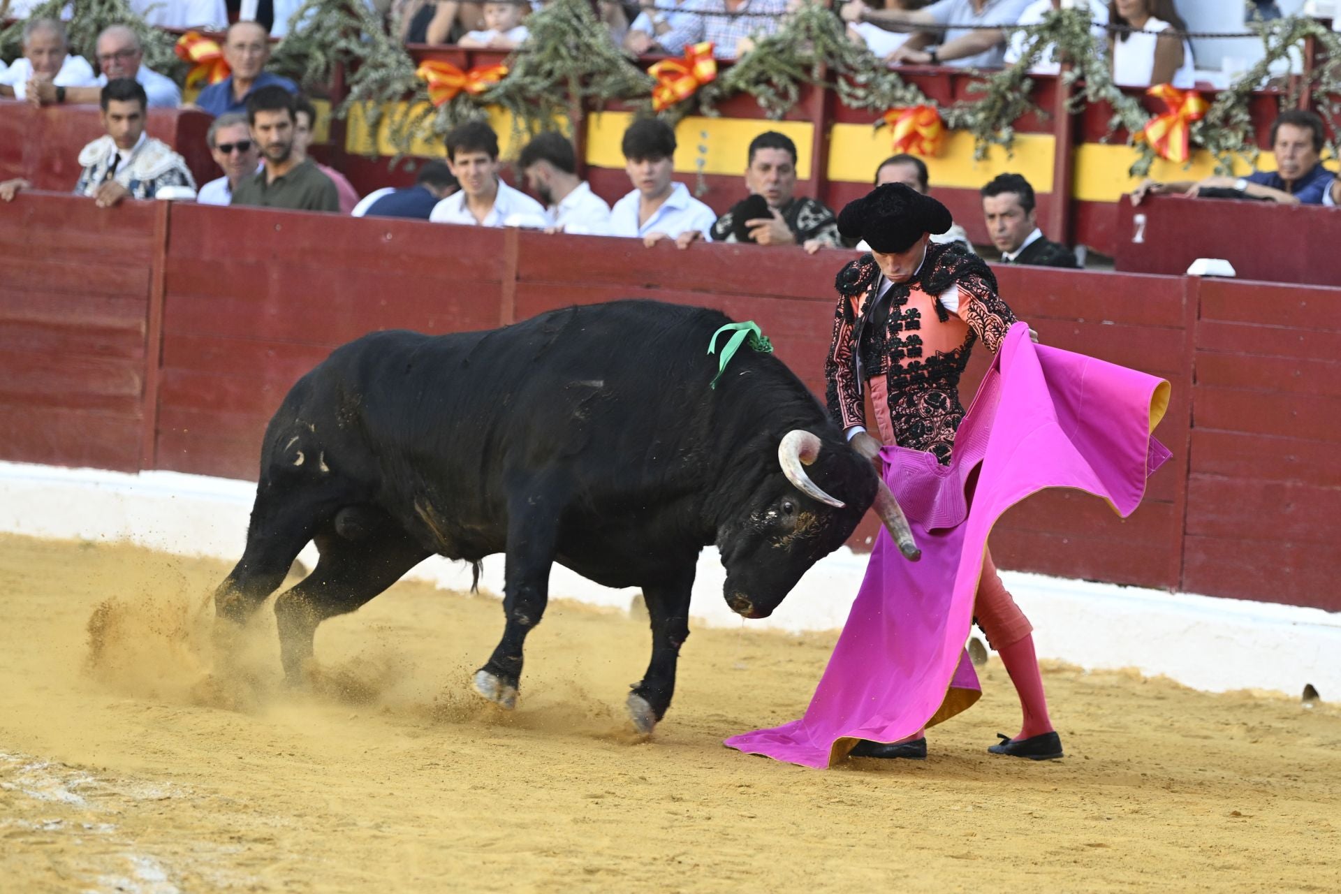 La primera novillada de la Feria Taurina de Murcia, en imágenes