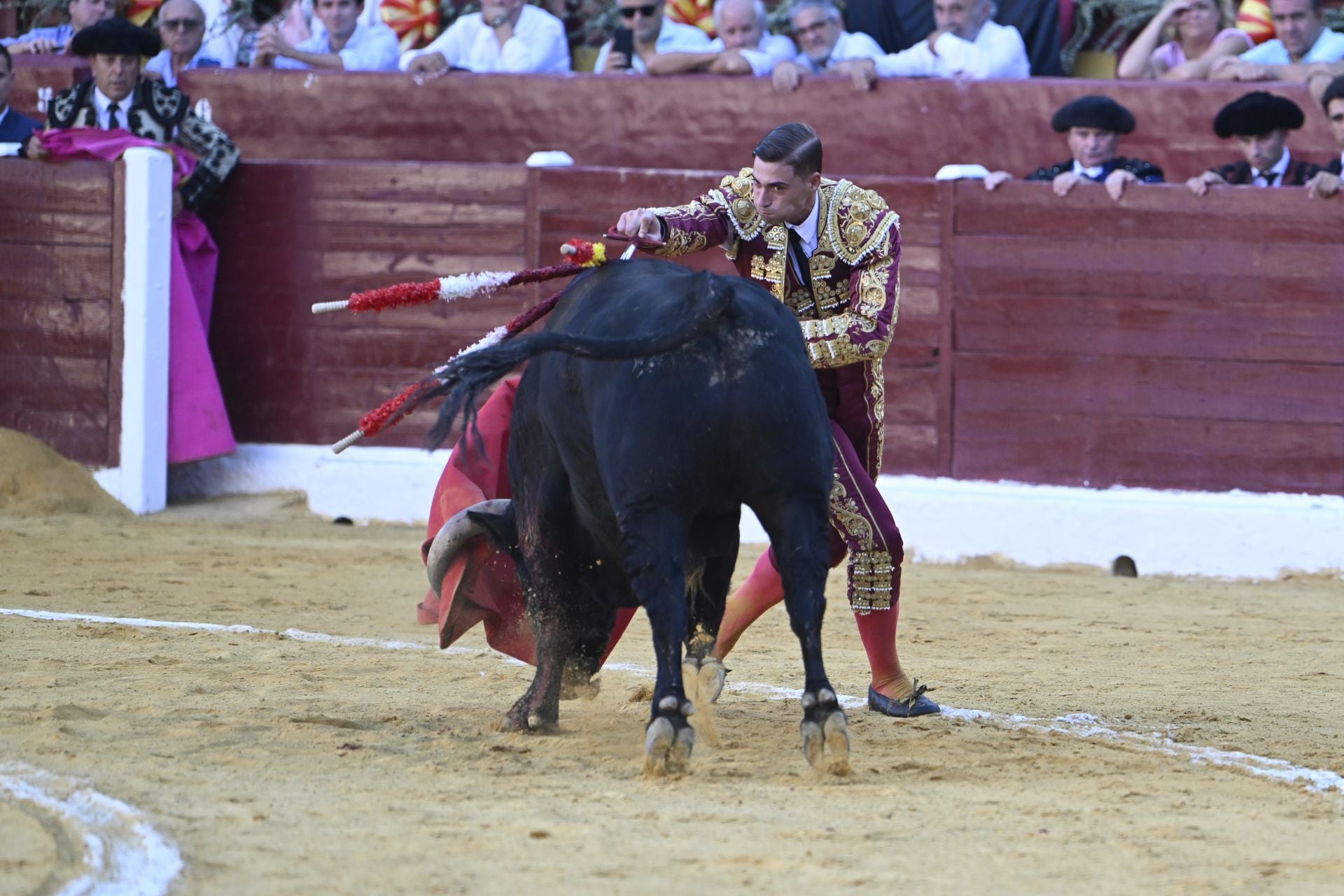 La primera novillada de la Feria Taurina de Murcia, en imágenes