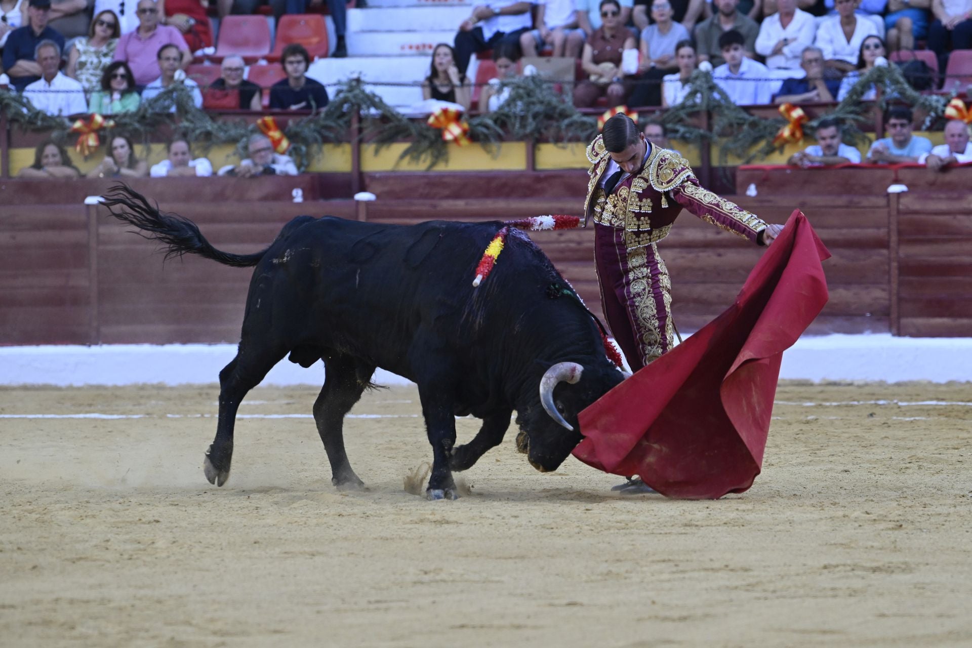 La primera novillada de la Feria Taurina de Murcia, en imágenes
