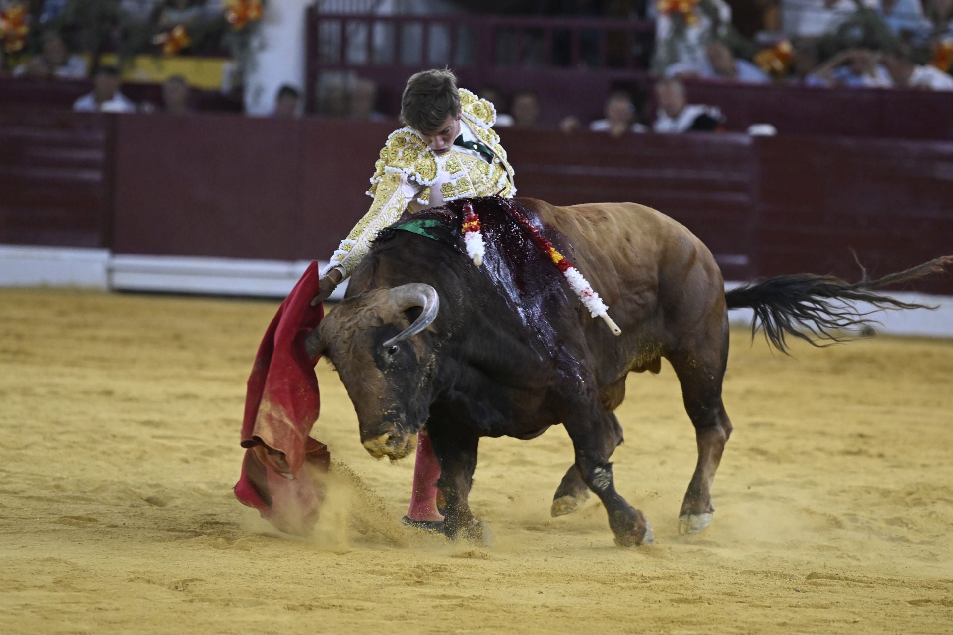 La primera novillada de la Feria Taurina de Murcia, en imágenes