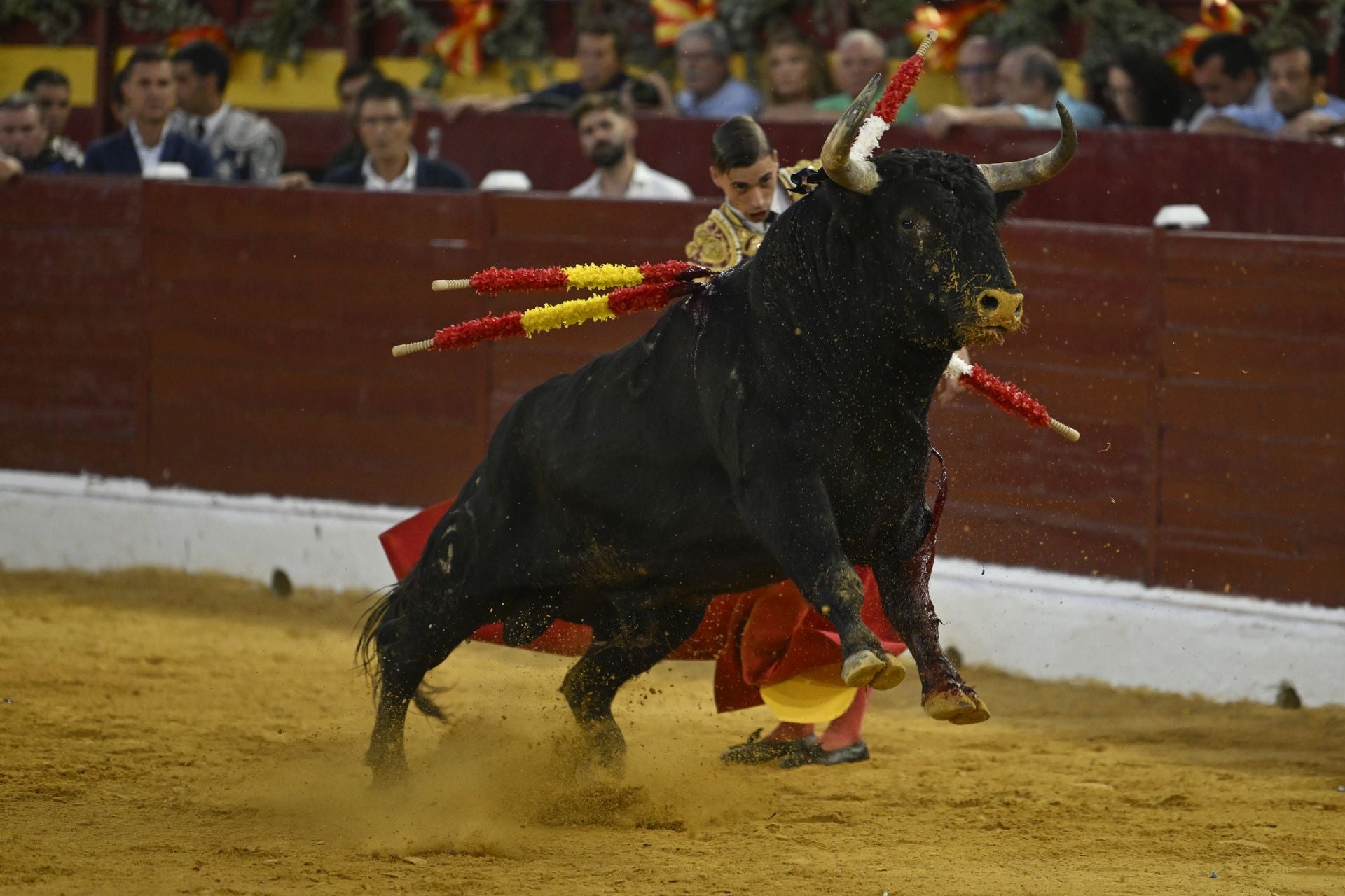 La primera novillada de la Feria Taurina de Murcia, en imágenes